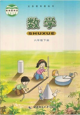 西师版小学数学六年级下册教学资源