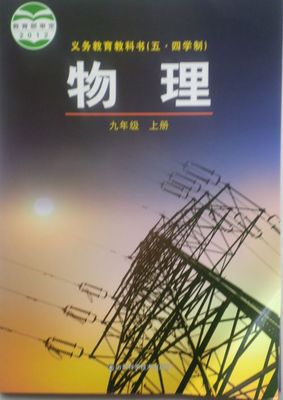 鲁科版九年级物理上册教学资源